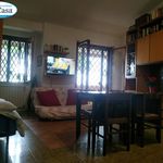 Affitto 2 camera appartamento di 60 m² in Ladispoli