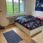 Miete 3 Schlafzimmer wohnung von 53 m² in Dübendorf