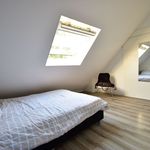 Rent 2 bedroom apartment of 60 m² in Breda