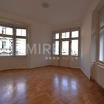 Rent 3 bedroom apartment in Praha 3