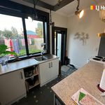 Rent 2 bedroom apartment in Dunedin