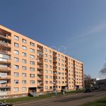 Rent 2 bedroom apartment of 42 m² in Teplice