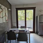 Rent 2 bedroom apartment of 55 m² in San Siro