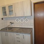 Rent 1 bedroom apartment of 31 m² in Cheb