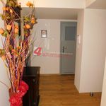 Wynajmij 3 sypialnię apartament z 57 m² w Tarnów