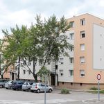 Rent 4 bedroom apartment of 80 m² in Beaune