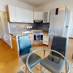 Rent 1 bedroom apartment of 61 m² in Zlín