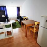 Rent 1 bedroom apartment of 50 m² in Heidelberg