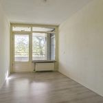 Huur 2 slaapkamer appartement van 87 m² in Tilburg