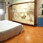 Rent a room in Palermo