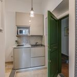 Affitto 1 camera appartamento di 28 m² in Firenze