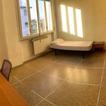 Affitto 3 camera appartamento di 100 m² in Pisa