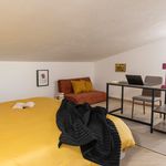 Affitto 1 camera appartamento di 85 m² in Ciampino