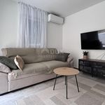 Rent 1 bedroom apartment of 48 m² in Grad Pula