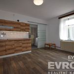 Rent 1 bedroom apartment of 24 m² in Štipoklasy
