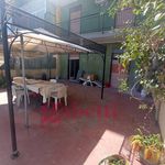 Rent 2 bedroom apartment of 80 m² in Palermo