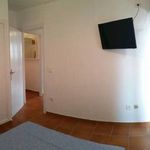 Rent 1 bedroom apartment of 60 m² in Alicante/Alacant