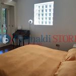 Rent 3 bedroom apartment of 200 m² in Casoria
