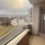 Rent 1 bedroom apartment of 47 m² in Brno