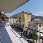 Affitto 4 camera appartamento di 20 m² in Trento