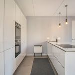 Rent 5 bedroom house of 232 m² in Oosterbeek