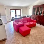 Rent 3 bedroom apartment of 60 m² in Viterbo