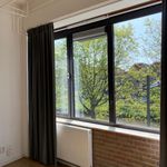 Kamer van 34 m² in Breda
