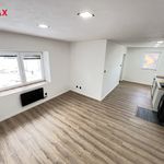 Rent 1 bedroom house of 65 m² in Petřvald