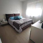 Rent 2 bedroom apartment of 80 m² in Viterbo