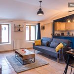 Rent 1 bedroom apartment of 50 m² in Mâcon