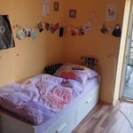 Rent 1 bedroom house of 150 m² in Brno