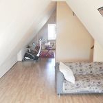 Rent 3 bedroom apartment of 48 m² in 's-Gravenhage