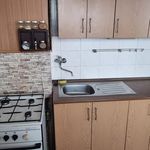 Rent 1 bedroom apartment of 33 m² in Most