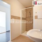 Rent 3 bedroom apartment of 67 m² in Lhenice