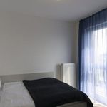 Miete 1 Schlafzimmer wohnung von 41 m² in Berlin Köpenick
