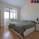 Rent 2 bedroom apartment of 55 m² in Brno