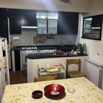 Affitto 5 camera casa di 110 m² in Pietrasanta