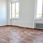 Rent 1 bedroom apartment of 15 m² in Albi