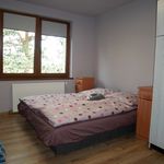Wynajmij 4 sypialnię apartament z 76 m² w Warta Bolesławiecka