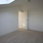 Rent 2 bedroom apartment of 43 m² in Haarlem