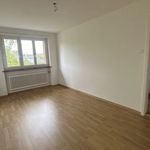 Rent 3 bedroom apartment of 63 m² in Zürich