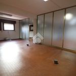 Affitto 3 camera appartamento di 220 m² in Mantova