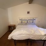 Rent 2 bedroom apartment of 100 m² in florence