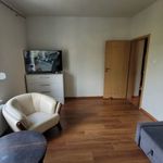 Rent 2 bedroom apartment of 49 m² in Ostrów