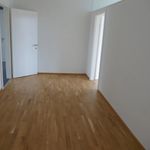 Rent 5 bedroom apartment of 122 m² in Gmünd