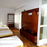 Rent 4 bedroom house of 220 m² in Kraków