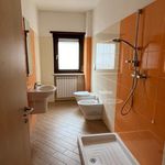 Affitto 1 camera appartamento di 75 m² in Canosa Sannita