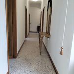 Rent 3 bedroom apartment of 98 m² in Tivoli