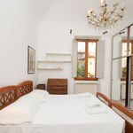 Rent 3 bedroom apartment of 100 m² in Firenze