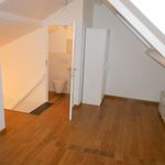  appartement avec 1 chambre(s) en location à Tienen